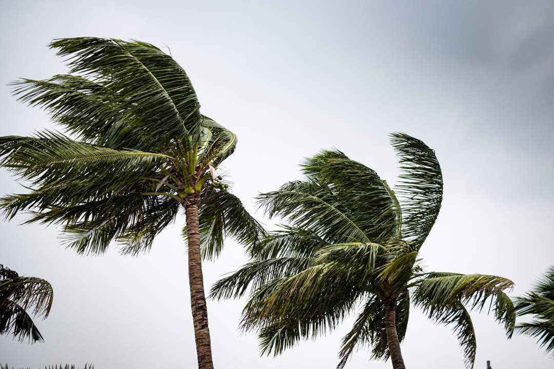 News24 | Wednesday’s weather: Damaging winds for Eastern Cape and KZN; cold and cool for rest of SA