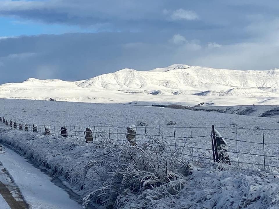 Saturday Weather in South Africa: Snowy Eastern Cape & Wet, Windy Conditions Elsewhere