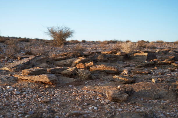 South Africa Shale: Unlocking the Potential for Energy Independence South Africa shale