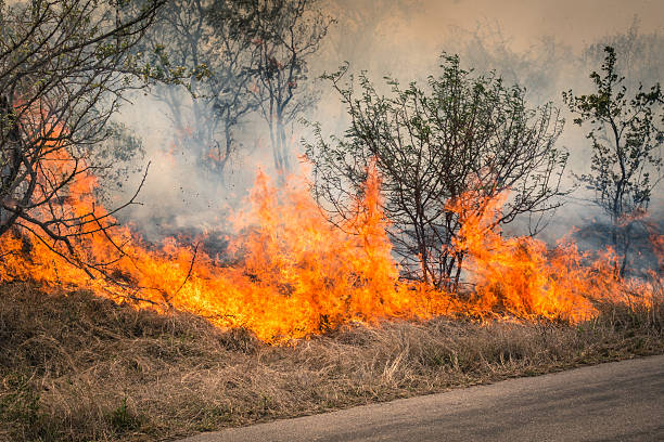 Cape Town Wildfire Threatens Glencairn Expressway Area Cape Town Wildfire Threatens