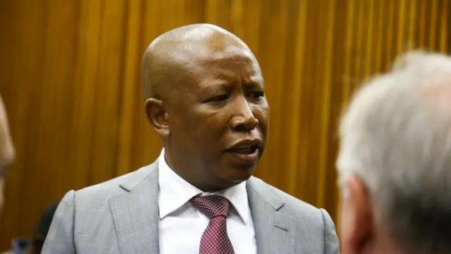 Malema Appeal: 9 Powerful Shifts Reshaping South Africa’s Political Debate Malema Appeal